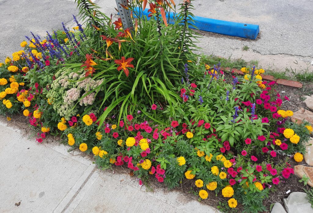 Vermilion, Ohio--Lighthouse--one of the flowerbeds beside the sidewalk leading up to the lighthouse.